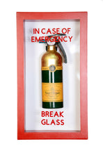 In Case of Emergency Break Glass - Champagne Fire Extinguishers  - Compact Edition.