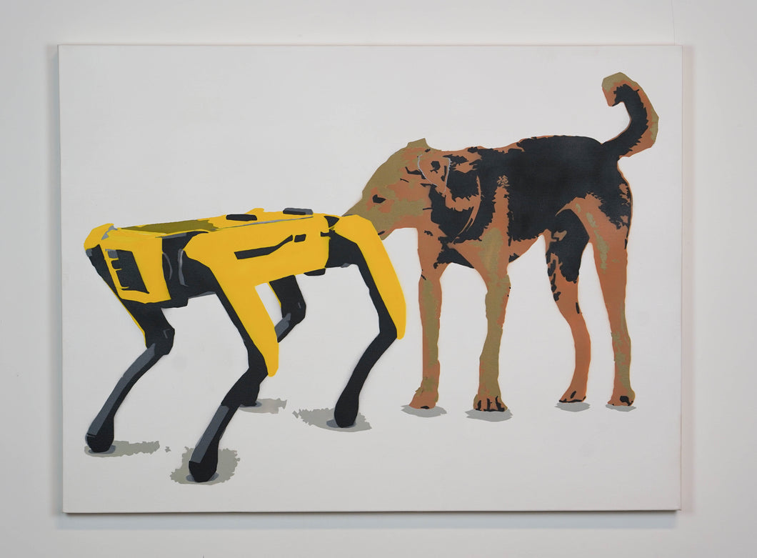 Nuevo perro en la ciudad